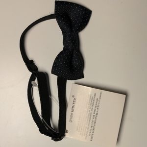 Toddler Bow Tie from Zara